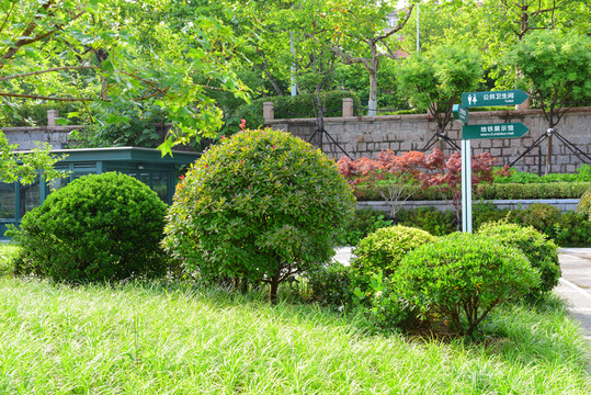 公園綠化