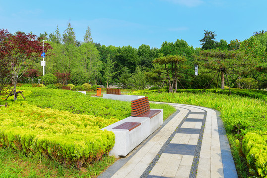 公園道路綠化