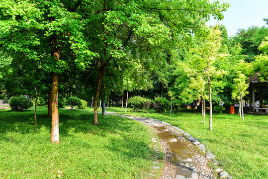 公園小道