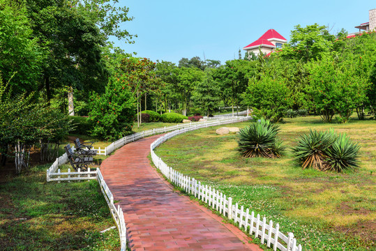 公園小道