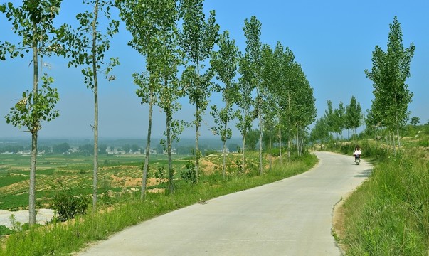 山區(qū) 公路