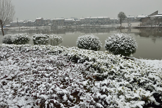 雪 雪景