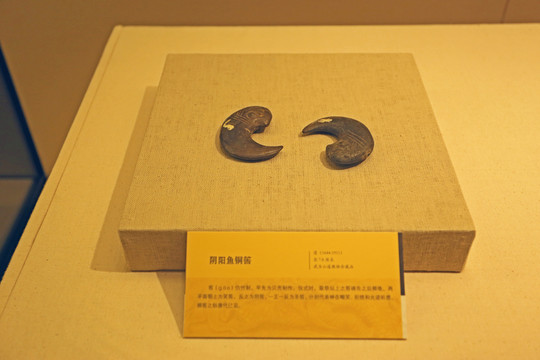 陰陽魚