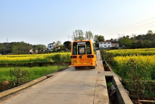 田園風(fēng)光 油菜花 公路