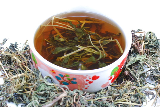 蒲公英中草藥涼茶