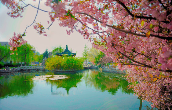 園林 風(fēng)景