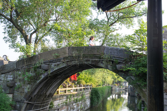 楓涇 致和橋