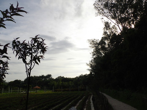 夕陽(yáng)暮色