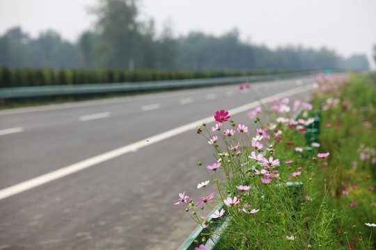 高速公路 高速 公路 交通 路