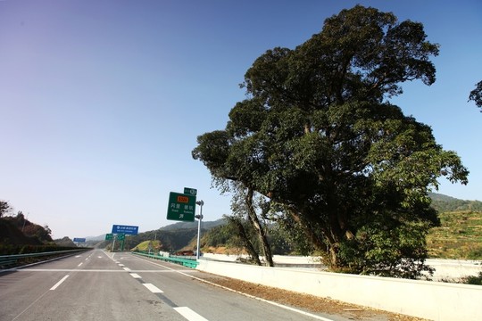 高速公路 高速 公路 交通 路