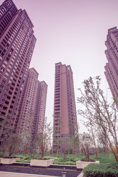 地產(chǎn) 房地產(chǎn) 景觀設計 綠化