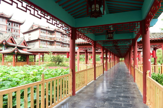 荷花池與中式建筑