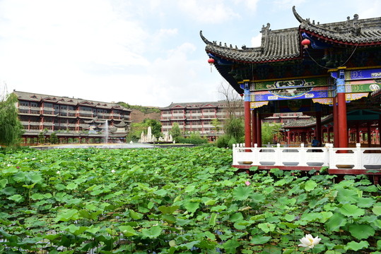 園林景觀