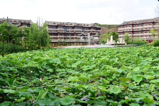園林景觀
