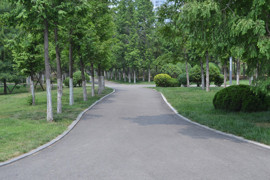 公園景觀 公園小道