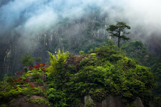 中國浙江茗岙風(fēng)光