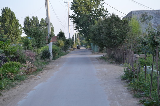 鄉(xiāng)村道路