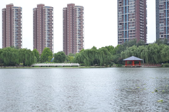 五洲湖畔
