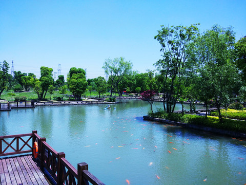 山莊園林水景