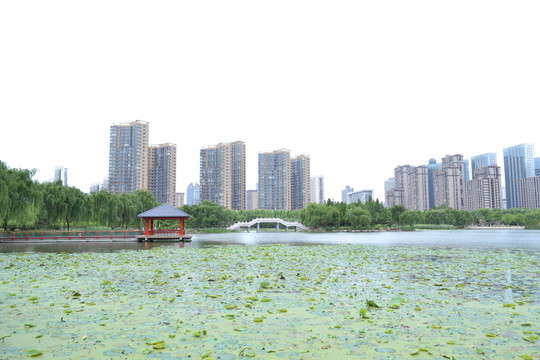 公園風(fēng)景