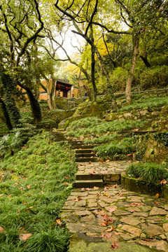 寺廟 上山道路