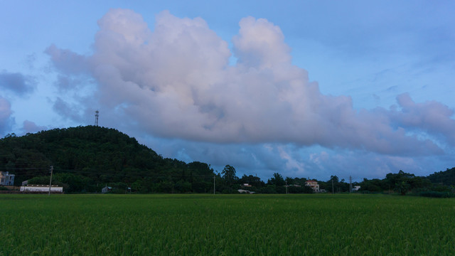 禾田