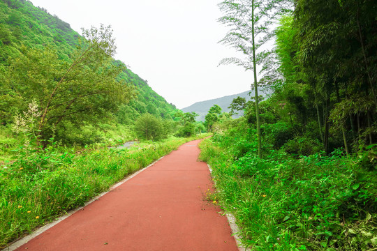 生態(tài)小路