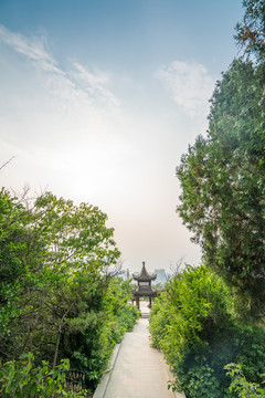 臨山公園