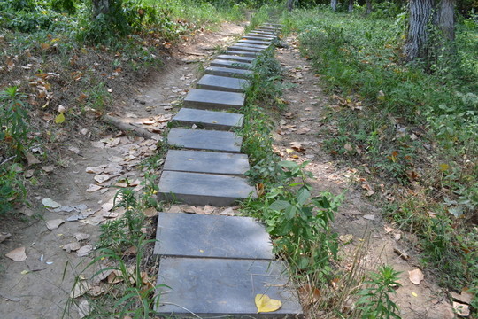 石板路