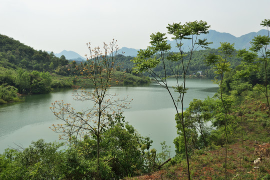 公園 湖泊