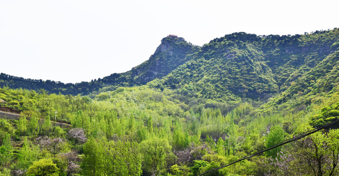 綠色的山嶺風(fēng)景圖