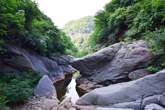 山谷中的小河風景圖
