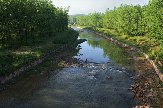 公園 湖泊