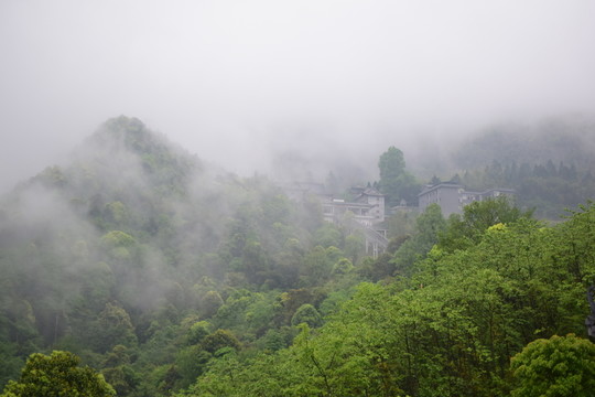 蓮花山