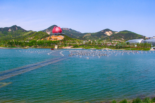 青島世園會(huì)