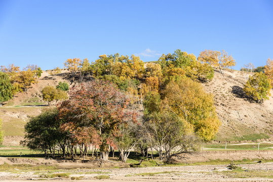 龍峽谷景區(qū)秋色