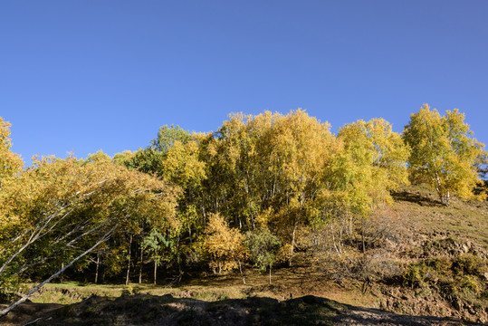 盘龙峡谷景区秋色