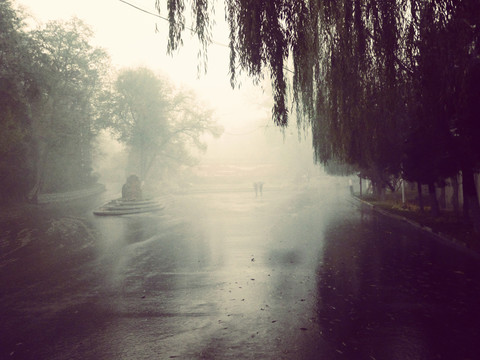 大雨中的公園