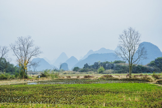 鄉(xiāng)村秋色