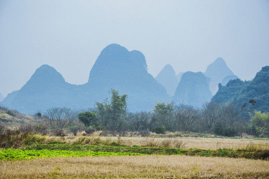 鄉(xiāng)村秋色