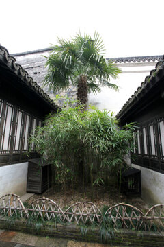 烏鎮(zhèn) 水鄉(xiāng) 江南