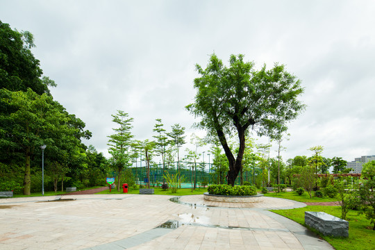 公園
