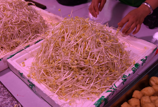 豆芽