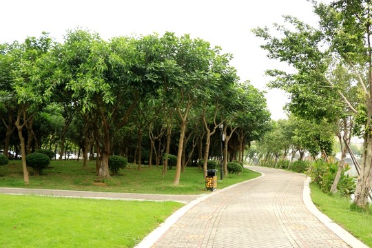 晉江綠洲公園
