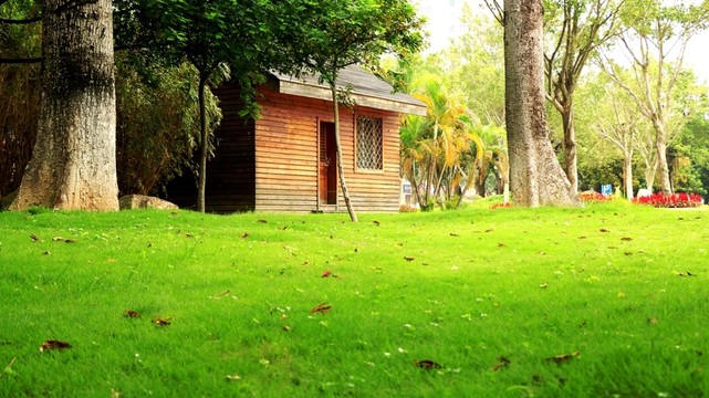 晉江綠洲公園