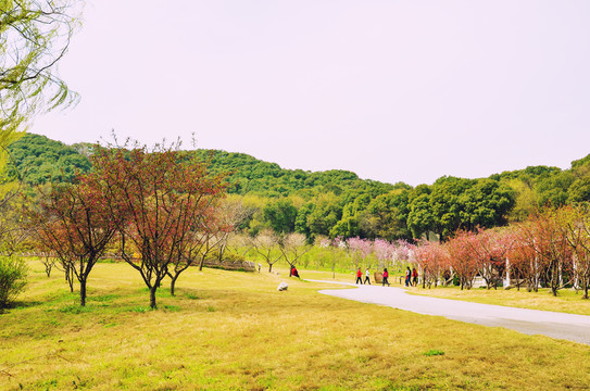 公園春色