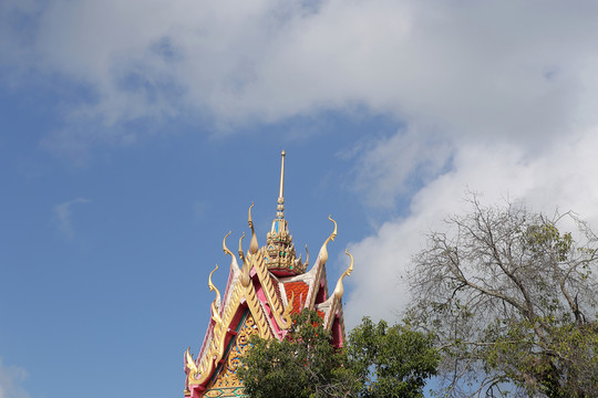 泰國普吉島寺廟圖片