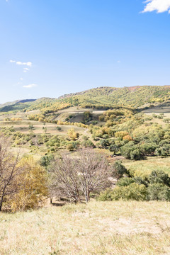 蛤蟆壩附近山丘秋景