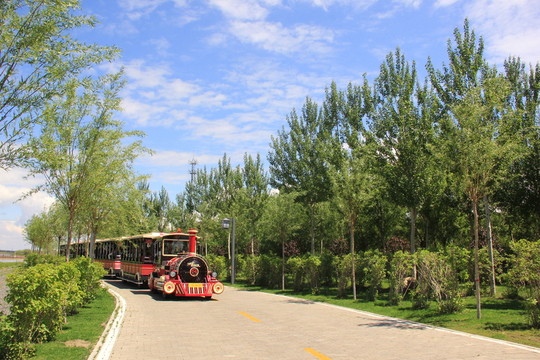 小火車