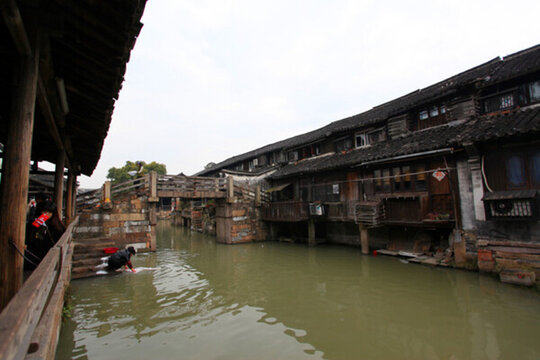 烏鎮(zhèn) 水鄉(xiāng)